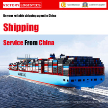 Service de livraison/expédition professionnel logistique de la Chine (Service d’expédition)